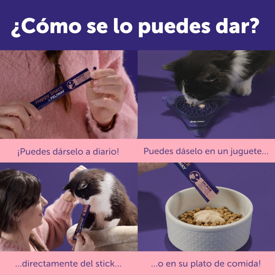 6 barritas Feliway Ceva Happy Snacks de Salm&atilde;o para gatos, , large Imagem n&uacute;mero 6