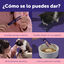 6 barritas Feliway Ceva Happy Snacks de Salm&atilde;o para gatos, , large Indicador imagem n&uacute;mero 6