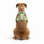All For Paws K-Nite Peitoral com luz para c&atilde;es, , large Indicador imagem n&uacute;mero 3