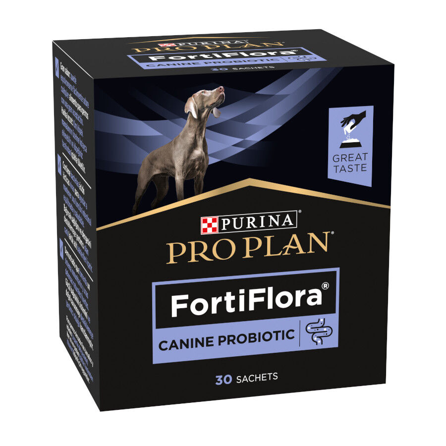 30 saquetas x 1 g Pro Plan Veterinary Diets FortiFlora Probi&oacute;tico para c&atilde;es, , large Imagem n&uacute;mero 1