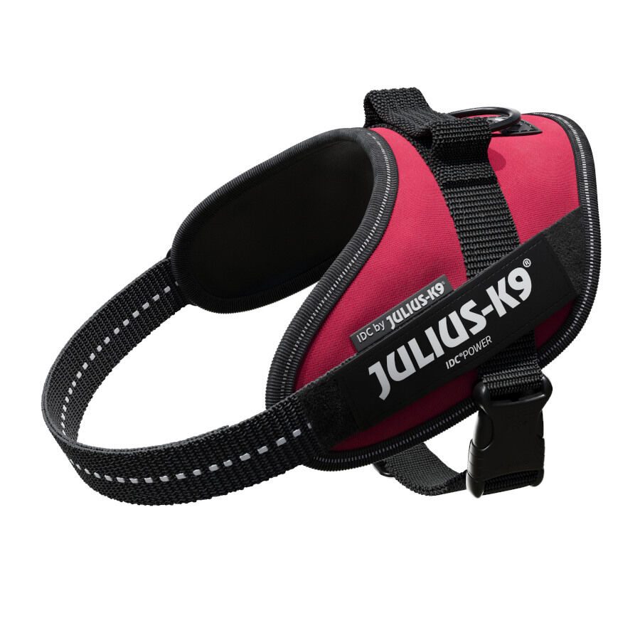 Julius K-9 IDC Peitoral Magenta para c&atilde;es, , large Imagem n&uacute;mero 1