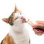 4 saquetas x 10 g Catit Creamy Snack Líquido de Salmão com Gambas para gatos, , large Indicador imagem número 3