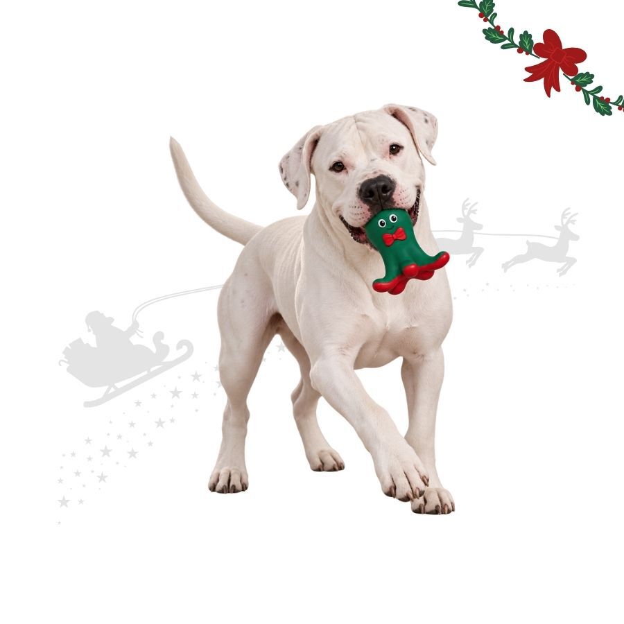 Wonder Christmas Polvo L&aacute;tex Brinquedo para c&atilde;es, , large Imagem n&uacute;mero 1