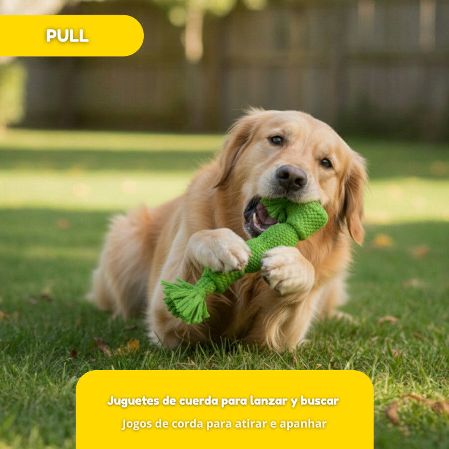 Tootoy! Pull Mordedor corda com apito tamanho m&eacute;dio para c&atilde;es, , large Imagem n&uacute;mero 6