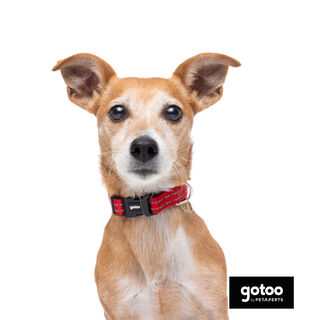 Gotoo Coleira reflexiva de nylon vermelha para cães