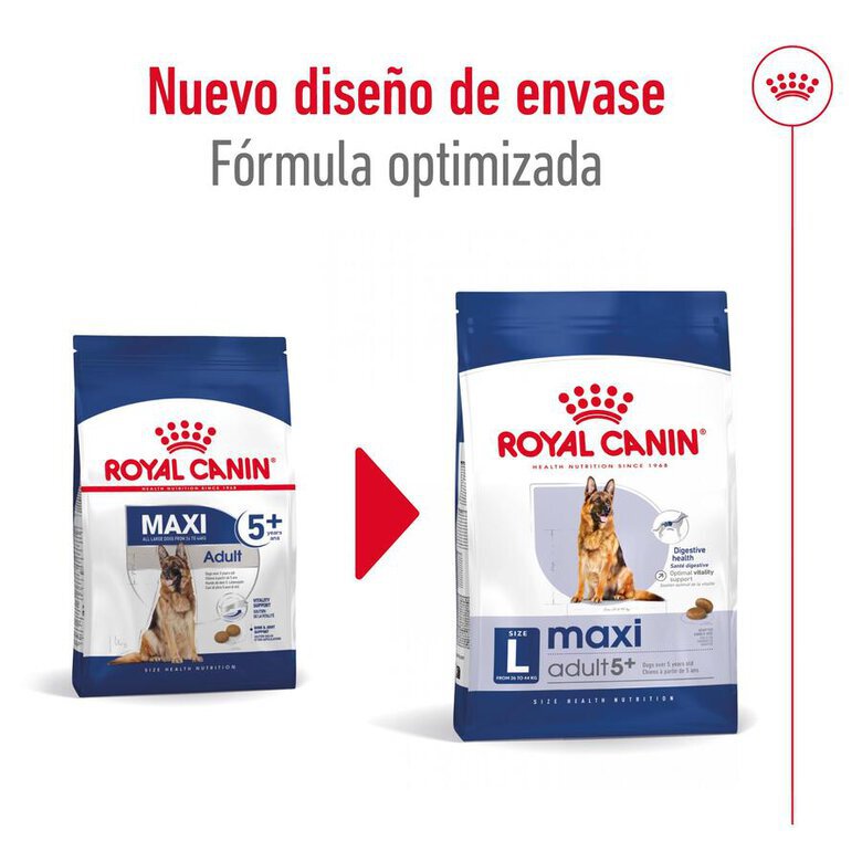 15 kg Royal Canin Maxi Adult 5+ ração para cães seniores de raça grande,  Imagem número 2 15 kg Royal Canin Maxi Adult 5+ ração para cães seniores de raça grande, , large Imagem número 2
