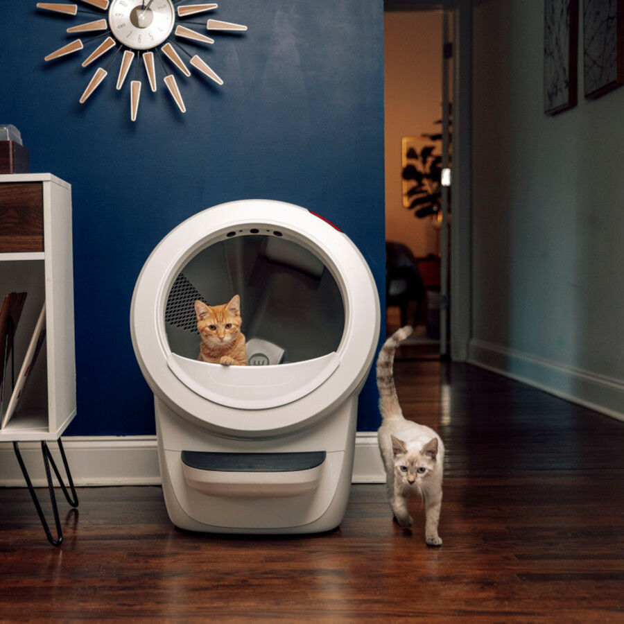 Litter-Robot Caixa de Areia Autom&aacute;tica Branca para gatos, , large Imagem n&uacute;mero 5