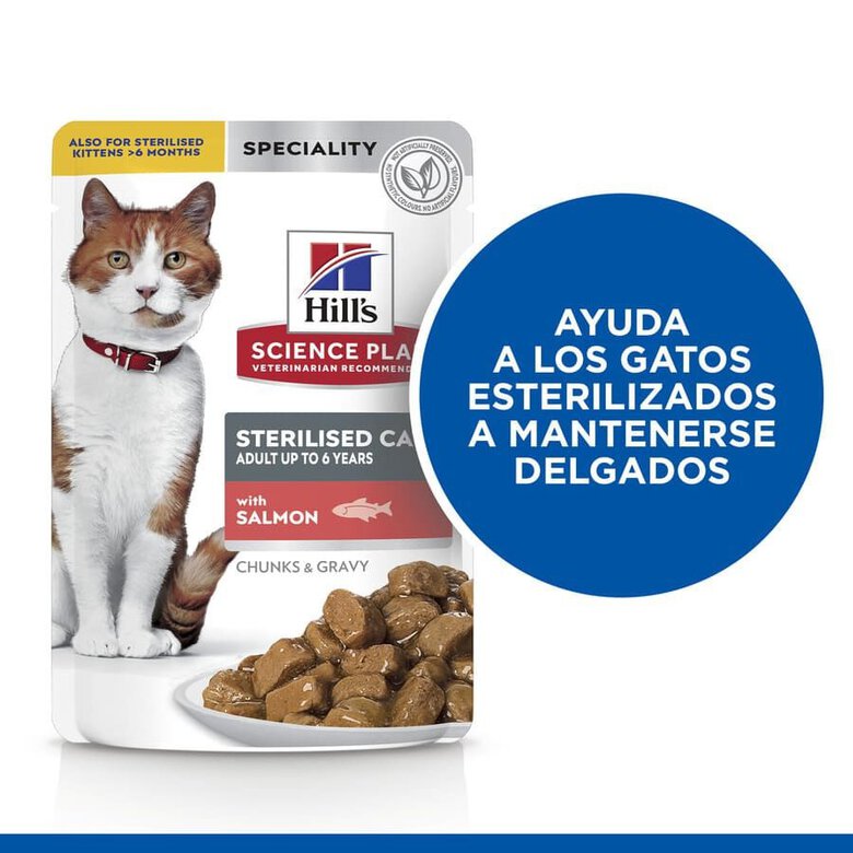 85 g Hill's Science Plan Sterilized Young Adult Salmão saquetas para gatos,  Imagem número 4 85 g Hill's Science Plan Sterilized Young Adult Salmão saquetas para gatos, , large Imagem número 4