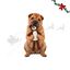 Wonder Christmas Amigo Urso XL Peluche para c&atilde;es, , large Indicador imagem n&uacute;mero 1