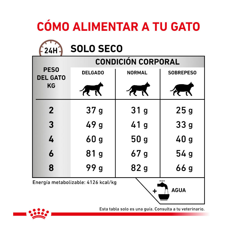 4 kg Royal Canin Veterinary Hepatic ra&ccedil;&atilde;o para gatos , , large Imagem n&uacute;mero 7