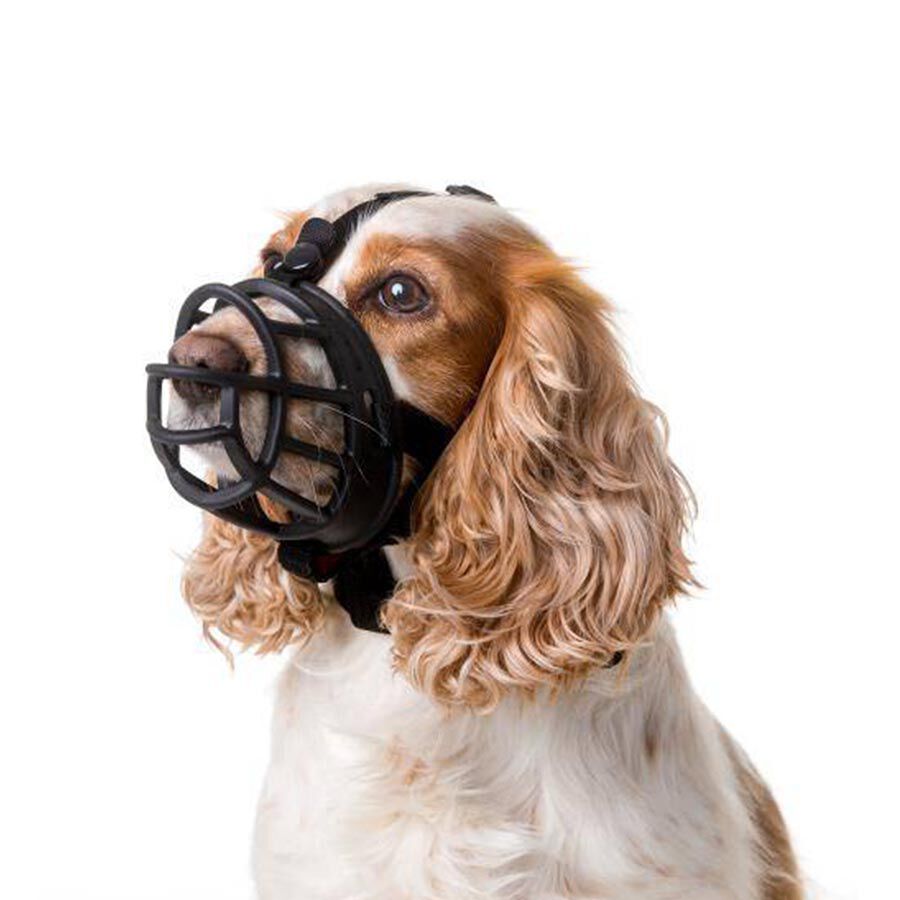 Bozal Baskerville Ultra Imagem n&uacute;mero 1