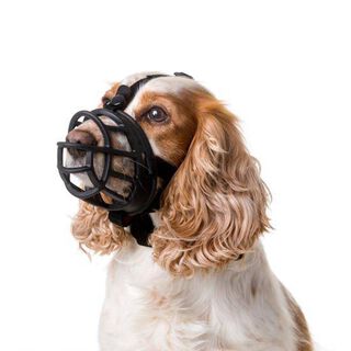 Baskerville Ultra Muzzle Açaime tipo cesto para cães