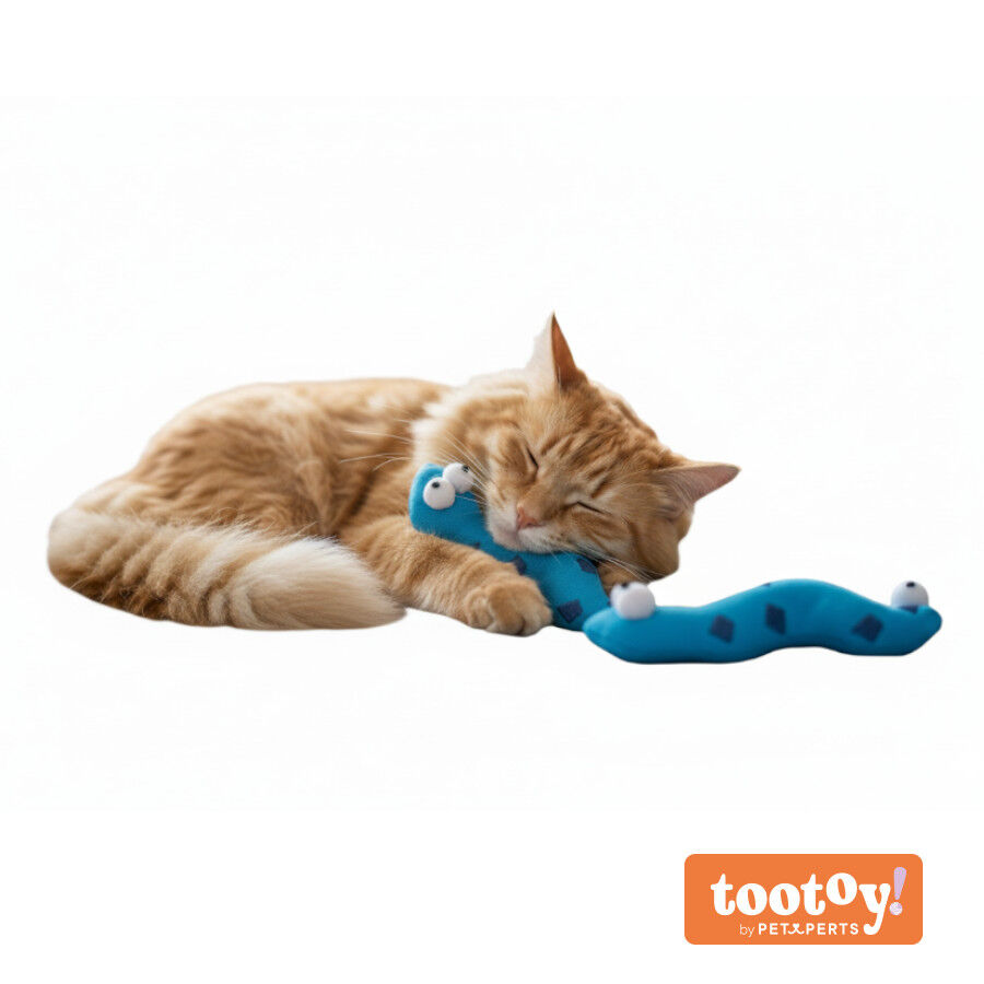 Tootoy! Comfort & Relax Peluch Conjunto de cobras pata gatos, , large Imagem n&uacute;mero 9