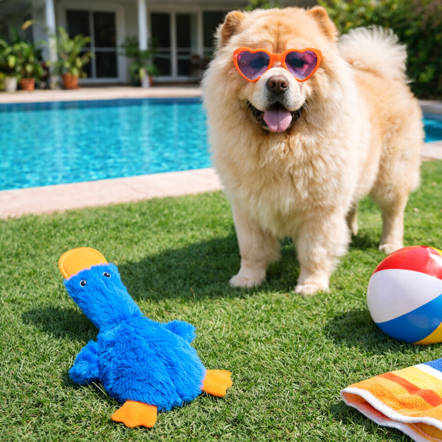 Summer Vibes Dolce Vita Skinny Duck Peluche para c&atilde;es, , large Imagem n&uacute;mero 1