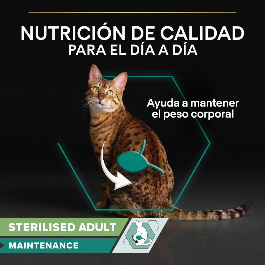 10 saquetas x 85 g Pro Plan Adult Sterilised Maintenance Frango e Boi em molho saquetas para gatos - Multipack, , large Imagem n&uacute;mero 2