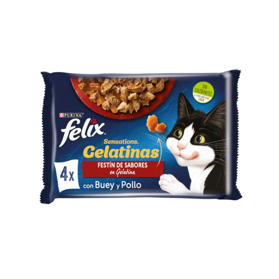 4 saquetas x 85 g Felix Sensations Sele&ccedil;&atilde;o do Campo saquetas em galeia, , large Imagem n&uacute;mero 1