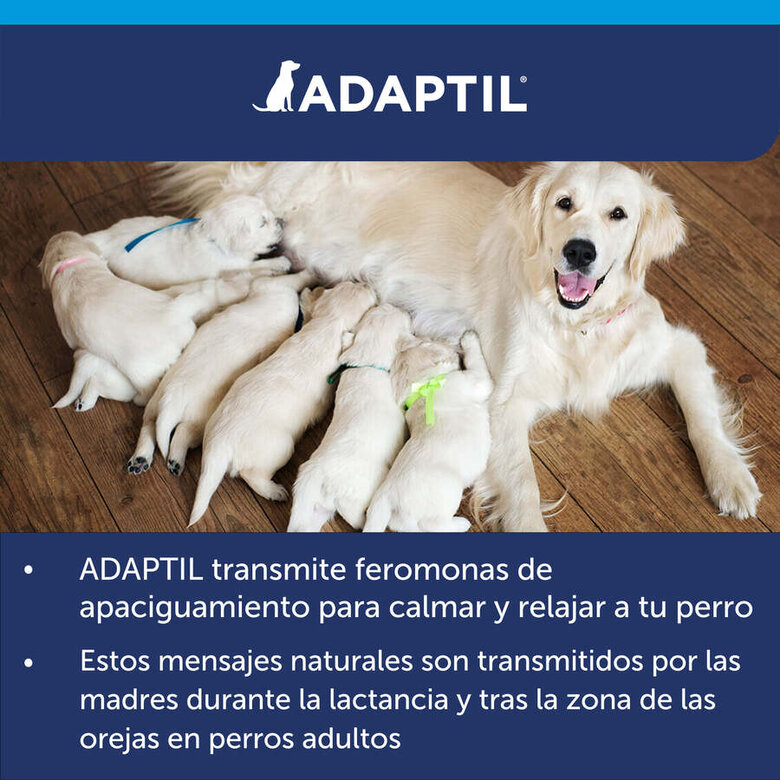 Adaptil Difusor e Recarga Tranquilizante para Cães,  Imagem número 3 Adaptil Difusor e Recarga Tranquilizante para Cães, , large Imagem número 3