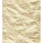 Versele-Laga Nutribird Papa para filhotes, , large image number null