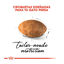 10 kg Royal Canin Persa ração para gatos adultos, , large Indicador imagem número 5