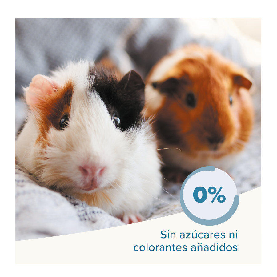 Biophar Care + ra&ccedil;&atilde;o para porquinhos-da-&iacute;ndia, , large Imagem n&uacute;mero 5