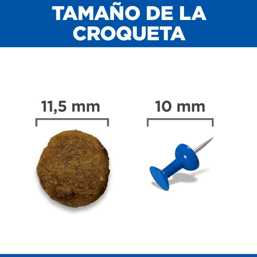 2 x 14 kg Hill's Science Plan Adult Medium Cordeiro e Arroz ra&ccedil;&atilde;o para c&atilde;es Pack poupan&ccedil;a!, , large Imagem n&uacute;mero 8