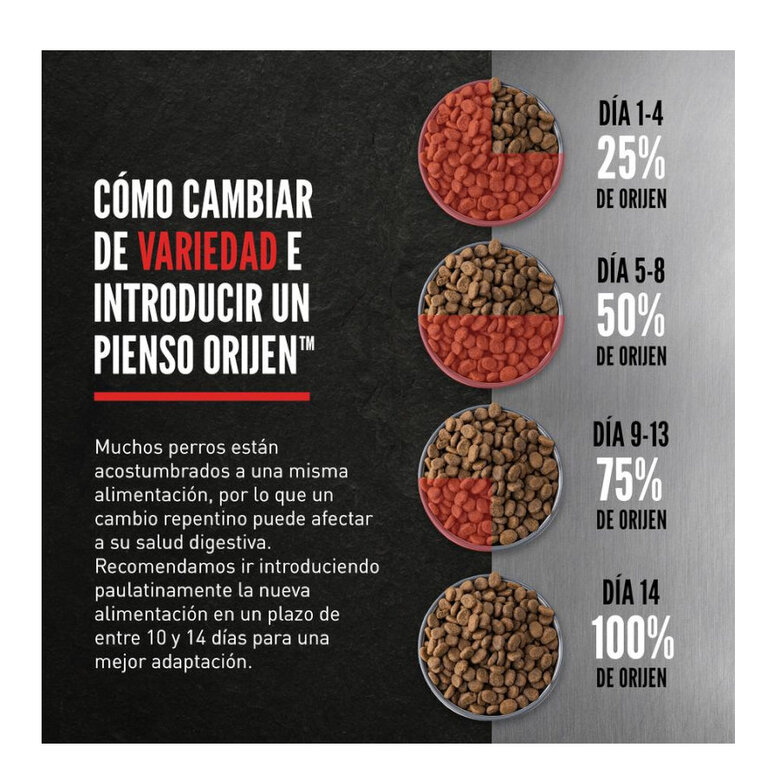11.4 kg Orijen Adult Original ração para cães,  Imagem número 8 11.4 kg Orijen Adult Original ração para cães, , large Imagem número 8