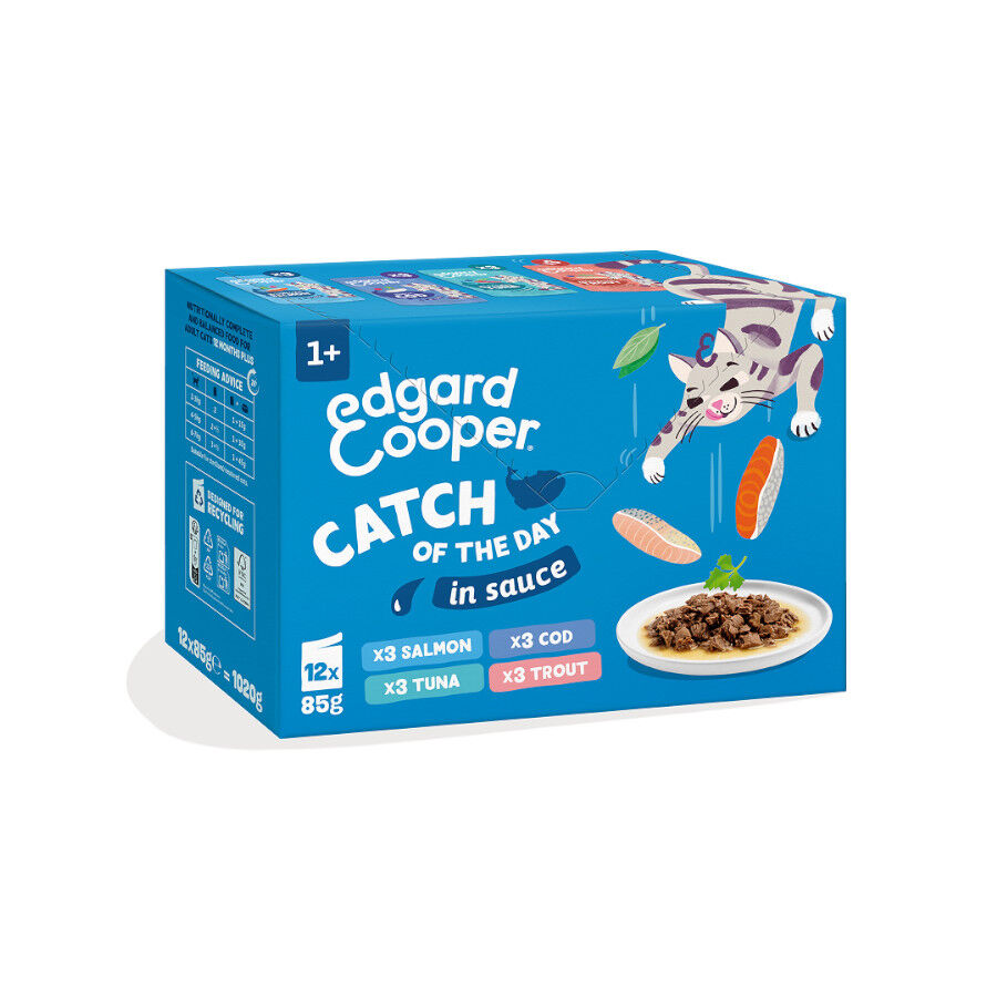 12 x 85 g Edgard & Cooper Catch of the day em molho em saquetas para gatos, , large Imagem n&uacute;mero 1