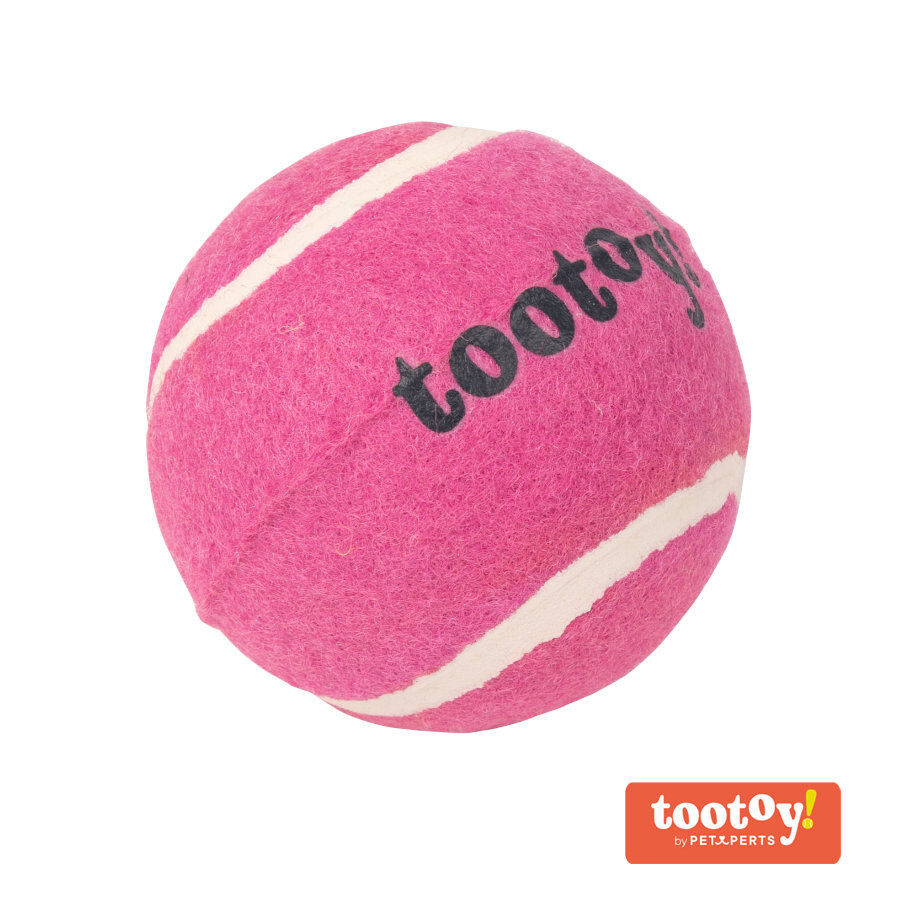 Tootoy! Chase Squeaker Ball Rosa bola de t&eacute;nis para c&atilde;es, , large Imagem n&uacute;mero 1
