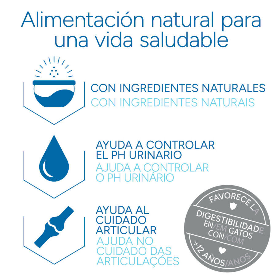 Criadores Cient&iacute;fico Senior +12 Ra&ccedil;&atilde;o de peixe para gatos, , large Imagem n&uacute;mero 6