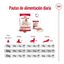 18 kg (15 + 3 kg ¡gratis!) Royal Canin Medium Adult ração para cães, , large Indicador imagem número 11