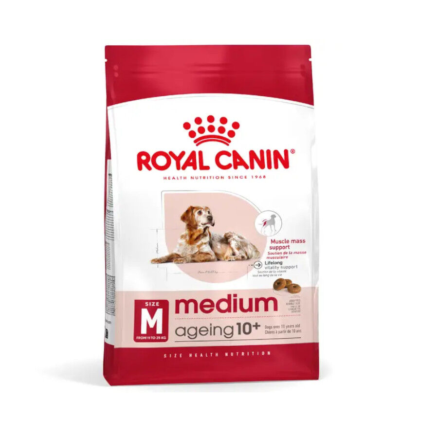 15 kg Royal Canin Medium 10+ Ageing ra&ccedil;&atilde;o para c&atilde;es, , large Imagem n&uacute;mero 1