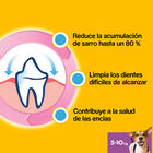 Pedigree Dentastix Snacks Dentários para cães pequenos, , large image number null