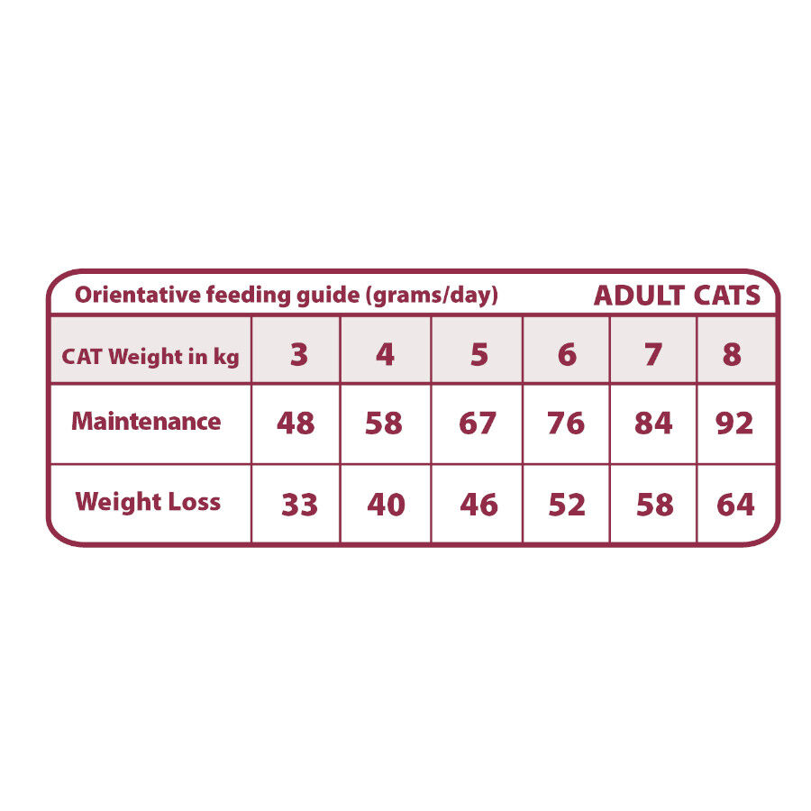 Natural Greatness Obesity & Diabetic Ra&ccedil;&atilde;o Hipoalerg&eacute;nica para gatos, , large Imagem n&uacute;mero 2