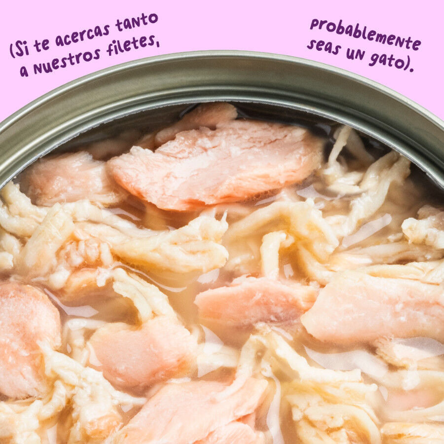 70 g Edgard & Cooper Filetes de Salm&oacute;n y Pollo Lata para gatos, , large Imagem n&uacute;mero 5