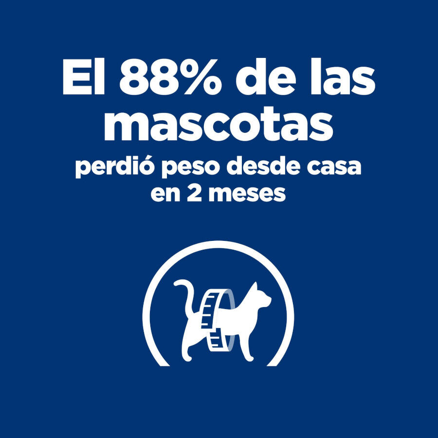 12 kg Hill's Prescription Diet Metabolic ra&ccedil;&atilde;o para gatos, , large Imagem n&uacute;mero 3