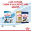 15 kg Royal Canin Puppy Maxi ração para cães, , large Indicador imagem número 11