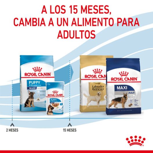 Royal Canin Puppy Maxi ração para cães, , large image number null