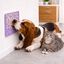 Leeby Tapete para Lamber Roxo para c&atilde;es e gatos, , large Indicador imagem n&uacute;mero 1