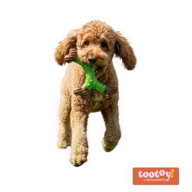 Tootoy! Chew Osso dental de bamboo sabor ma&ccedil;&atilde; para c&atilde;es