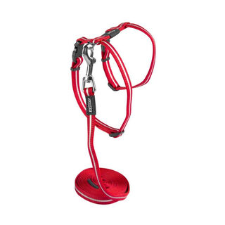 Rogz Peitoral vermelho com trela para gatos