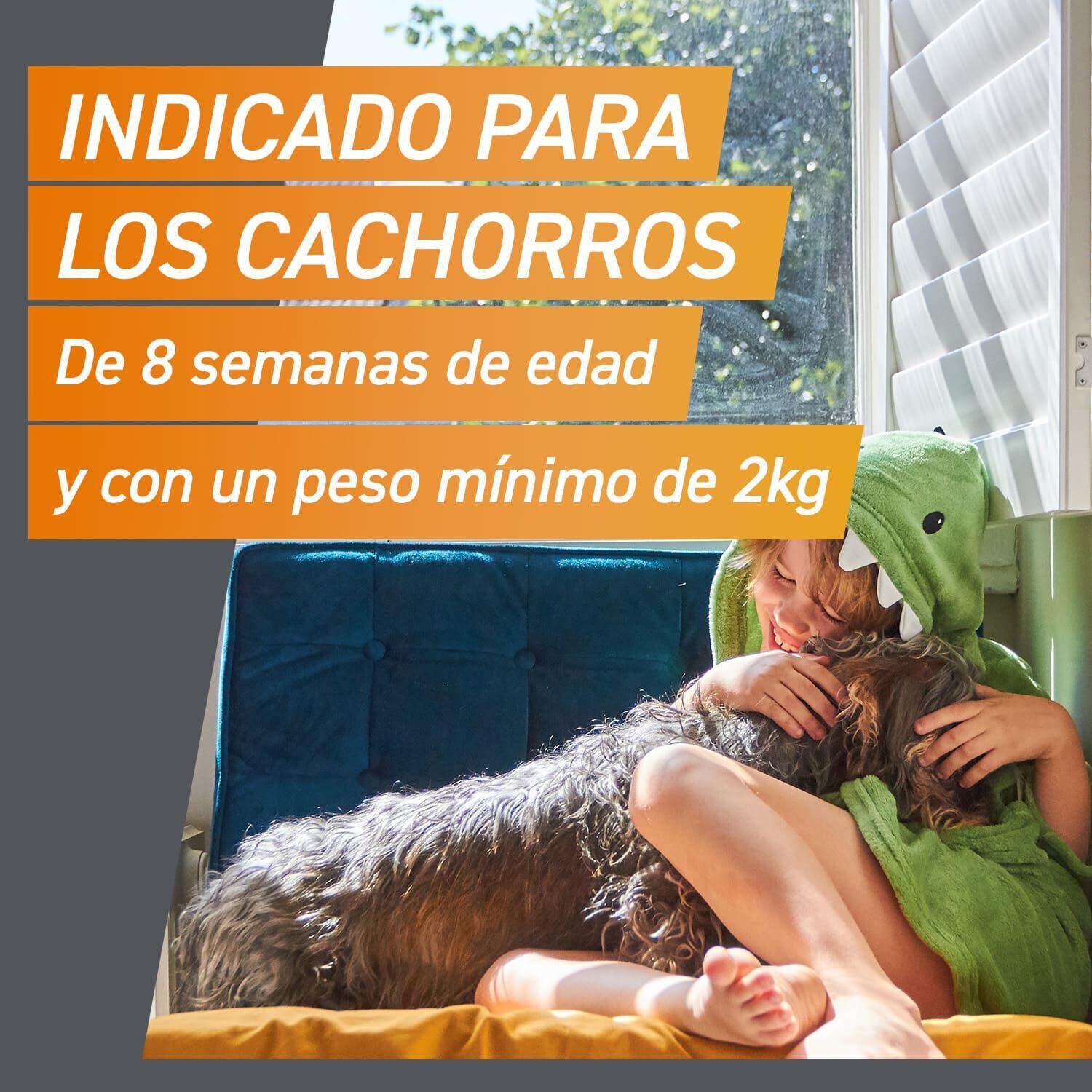 Frontpro Comprimidos Mastig&aacute;veis Antiparasit&aacute;rios para c&atilde;es, , large Imagem n&uacute;mero 7