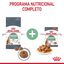 2 x 10 kg Royal Canin Adult Digestive ração para gatos Pack poupança!, , large Indicador imagem número 4