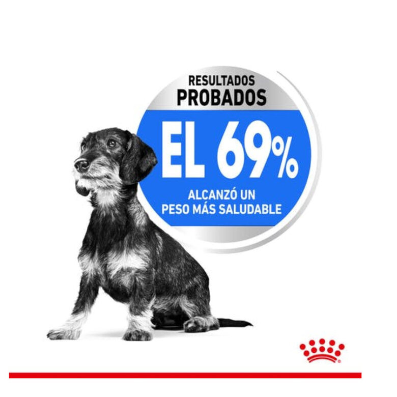 1.5 kg Royal Canin X-Small Light Weight Care ração para cães,  Imagem número 5 1.5 kg Royal Canin X-Small Light Weight Care ração para cães, , large Imagem número 5