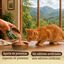 70 g True Origins Wild Comida h&uacute;mida de Frango em lata para gatos, , large Indicador imagem n&uacute;mero 3