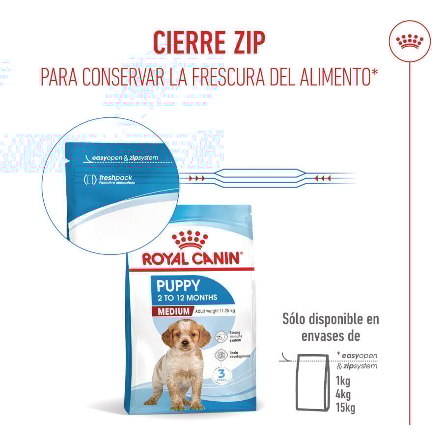 15 kg Royal Canin Puppy Medium ra&ccedil;&atilde;o para c&atilde;es, , large Imagem n&uacute;mero 10