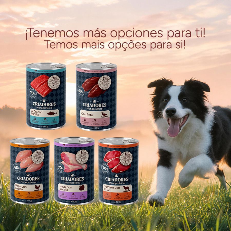 400 g Criadores Monoproteico Comida H&uacute;mida de Frango e Batata-doce em Lata para c&atilde;es, , large Imagem n&uacute;mero 8