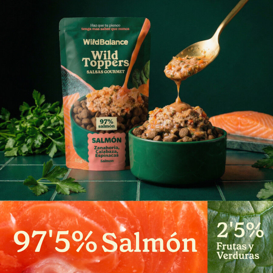 85 g Wild Balance Toppers Salm&oacute;n salsa para perros, , large Imagem n&uacute;mero 3