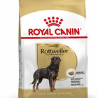 Royal Canin Adult Rottweiler ração para cães, , large image number null