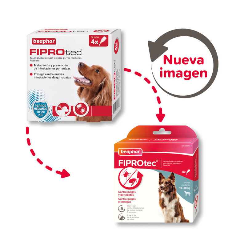 Beaphar FiproTec Pipetas Antiparasitárias para cães de raça média, , large image number null