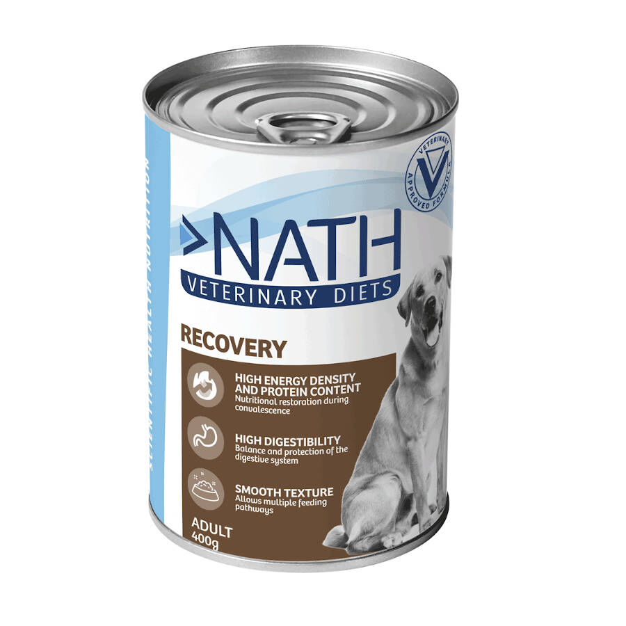 400 g Nath Veterinary Diets Recovery Salm&atilde;o e F&iacute;gado de Frango lata para c&atilde;es, , large Imagem n&uacute;mero 1